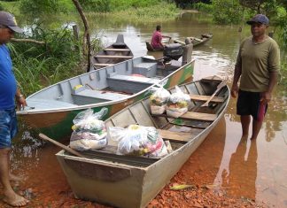 Número de pessoas afetadas pelas enchentes no Tocantins chega a quase 400 e desabrigados passam de 100