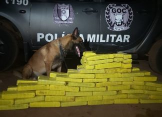 Operação Hórus apreendeu mais de 1 tonelada de drogas e 282 veículos adulterados no ano passado, aponta balanço