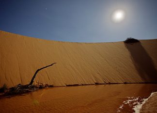 Pé na estrada: como visitar as principais atrações do Jalapão (TO)