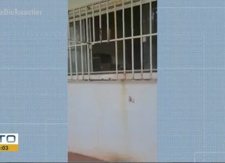 Estado registra mais de 100 furtos apenas na primeira semana do ano