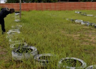 Fiscais recolhem pneus abandonados em terreno baldio próximo da Praia da Graciosa
