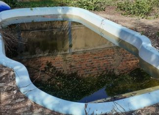 Agentes de endemias vão percorrer bairros de Palmas em ação contra o Aedes aegypti; veja cronograma