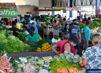 Três feiras cobertas de Palmas abrem neste domingo (2); veja locais e horários