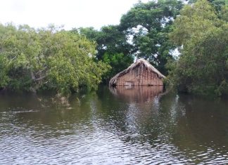 FOTOS: Famílias e animais são transportados em barcos após casas serem atingidas por enchentes no TO