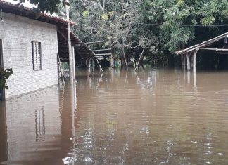 Nível de rio volta a subir em Miracema e mais famílias saem de casa; TO tem 1,8 mil pessoas desabrigadas ou desalojadas