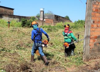 Donos de lotes baldios em Gurupi e Araguaína podem pagar multa de R$ 400 por falta de limpeza