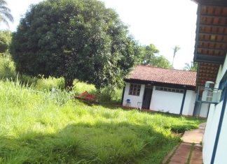 Surgimento de serpentes em unidade de saúde assusta moradores e pacientes no interior do Tocantins