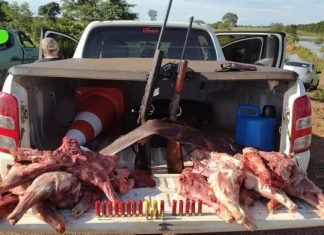 Suspeitos são presos após serem encontrados com armas e carne de animais silvestres