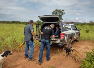 Idoso suspeito de agredir mulher e filhas é preso após polícia encontrar armas na casa