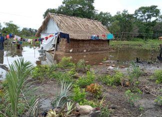 ‘Não queremos sair daqui para a cidade’, diz cacique ao ver aldeia alagada no interior do TO