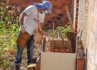 Palmas confirma mais de 270 casos de dengue por semana e prefeitura alerta moradores para cuidados