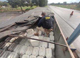 Carga com 12 mil quilos de agrotóxicos contrabandeados é apreendida pela PRF no sul do TO