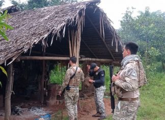 Polícia encontra armas e prende suspeitos de apropriação ilegal de terra na zona rural de Araguatins
