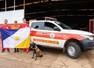 Tocantins envia bombeiros e cadela para auxiliar nas buscas por desaparecidos em Petrópolis