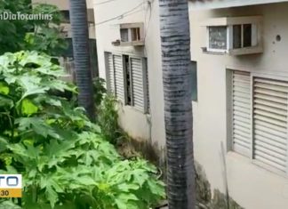 Moradores com dengue reclamam que casas e lotes abandonados acumulam focos do mosquito em Palmas