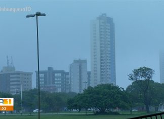 Tocantins tem janeiro mais chuvoso dos últimos 35 anos; mês foi marcado por enchentes