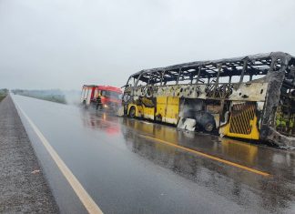 Ônibus pega fogo e fica destruído enquanto trafegava pela BR-153 no sul do Tocantins; FOTOS