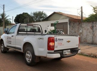 Carro ‘fumacê’ percorre quadras do centro de Palmas neste fim de semana para eliminar mosquitos da dengue