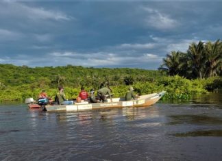 Jacaré abatido e mais de 80 kg de peixes são apreendidos em operação de combate a pesca predatória no TO