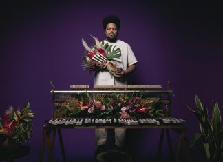 Amaro Freitas apronta a trilha sonora de ‘Fim de semana no paraíso selvagem’