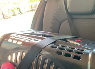 Saiba como transportar o animalzinho de estimação com segurança e respeitando a lei