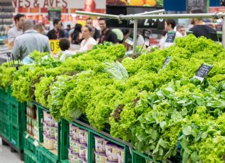 Salada mais salgada: Período chuvoso provoca alta no preço das hortaliças em Palmas