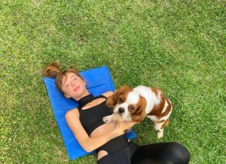 Saúde mental e animais: ouça história de cachorro que ajudou a curar a depressão de sua tutora