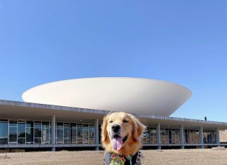 Ouça a história de Margaux, a cadela que fareja explosivos na Câmara dos Deputados, em Brasília