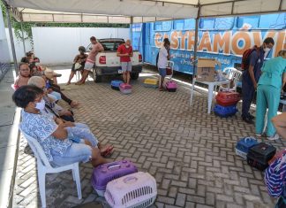 Castramóvel no bairro de Pernambués, em Salvador, abre vagas para agendamento presencial