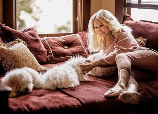 Clonagem de pets: por que tem gente pagando até R$ 200 mil para ter um clone do seu bichinho?