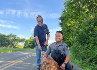 Golden Retriever é resgatada por policial em tubulação de esgoto depois de passar dois dias desaparecida