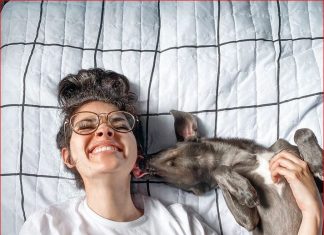 Cachorro ‘influencer’ Hunter faz sucesso com mais de meio milhão de seguidores nas redes sociais