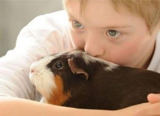 Como animais de estimação estimulam cérebro das crianças