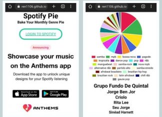 ‘Pizza do Spotify’: saiba como ver seus artistas e gêneros mais ouvidos no aplicativo