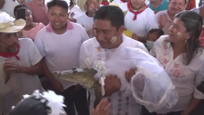 2022-07-01t022911z-1-lwd879701072022rp1-rtrwnev-e-8797-mexico-ritual-crocodile-wedding
