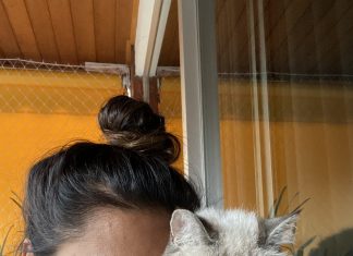 Bichos na Escuta #61: Popi e Corn ?, as gatas unidas pelo nome — com Carol Barcellos