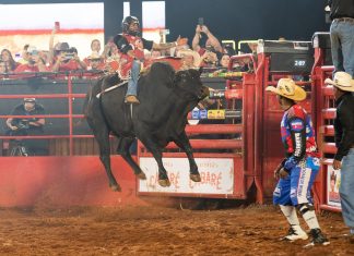 Peões disputam título em Rodeio Internacional da Festa do Peão de Barretos 2022; FOTOS