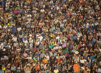 Festas do Peão devem movimentar R$ 8 bilhões em 2022 e reunir mais público que o Campeonato Brasileiro de futebol