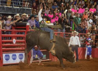 Peão de Cuiabá Paulista, SP, vence Rodeio Internacional de Barretos e vai ao Canadá e aos EUA