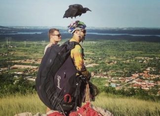‘Meu urubu não é meu animal de estimação, é meu filho’
