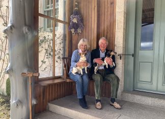 Fim da era dos corgis: Bluebell e Beth são os novos pets reais