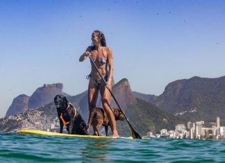 Bichos na Escuta #70: as aventuras dos labradores do Caopanheirolabra