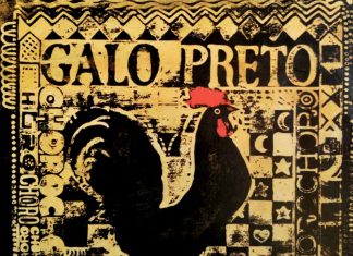 Bandolinista Afonso Machado relata memórias do Galo Preto em livro sobre grupo carioca de choro