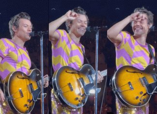 Harry Styles brinca durante show e diz que foi para ‘Veneza para cuspir em Chris Pine’
