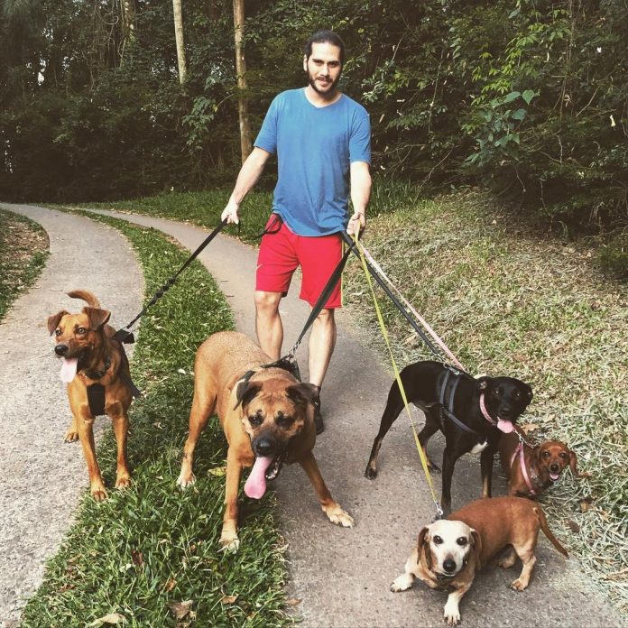 275202116-699476957742552-5132526779388375037-n