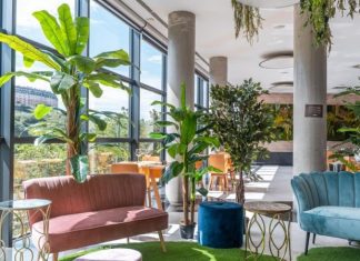 Floresta urbana: 8 formas como plantas podem melhorar sua casa