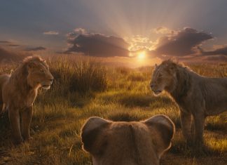 ‘Mufasa’ marca volta do prestígio de musicais em Hollywood, após estúdios ‘esconderem’ o gênero