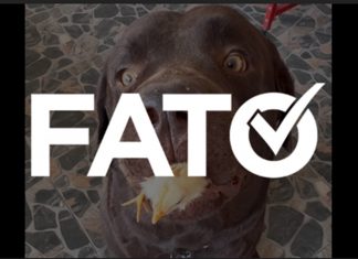 É #FATO vídeo que mostra cachorro escondendo pintinho na boca