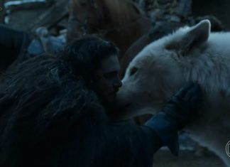 George R. R. Martin e os lobos terríveis: autor de ‘Game of Thrones’ se inspirou em espécie e investe em desextinção