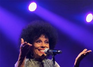 Uma noite de sonho, samba (e carimbó) para Eliana Pittman em show no Rio…